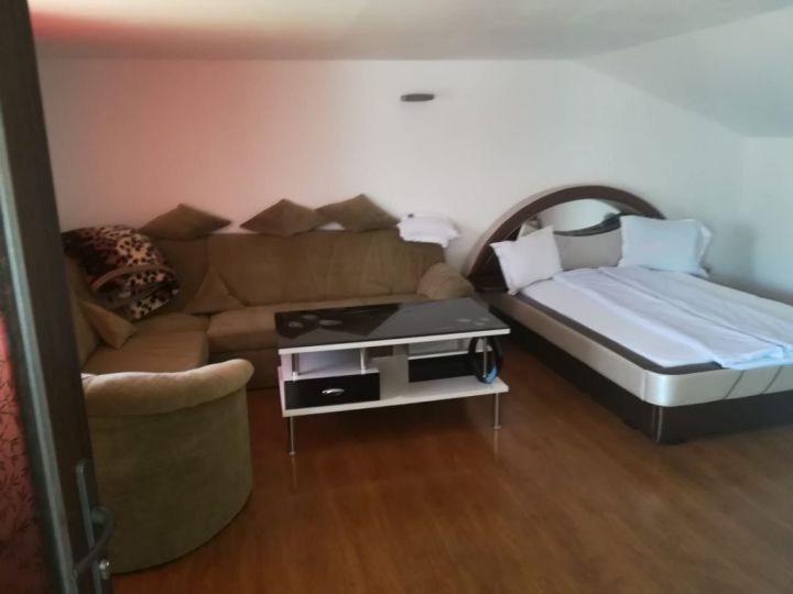 Apartamentul Casa Noua, Calimanesti-Caciulata - imaginea 