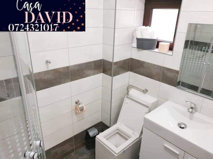 Vila Casa David, Comarnic - imaginea