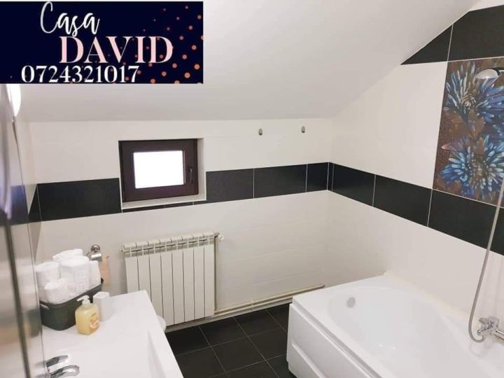 Vila Casa David, Comarnic - imaginea