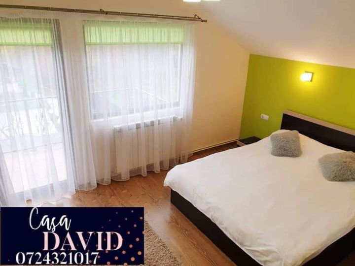 Vila Casa David, Comarnic - imaginea