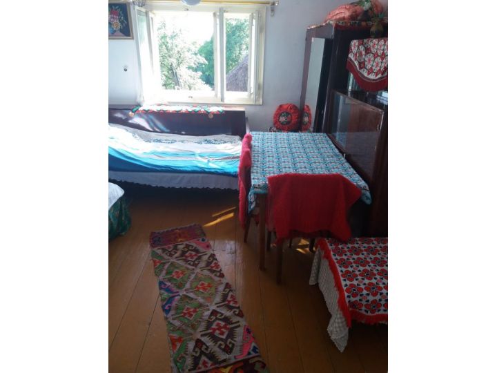 Camere de inchiriat Sejour Casa Mountain Sanctuary, Rosia Montana - imaginea 
