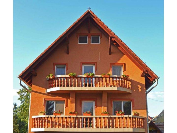 Pensiunea Venesis House, Sighisoara - imaginea