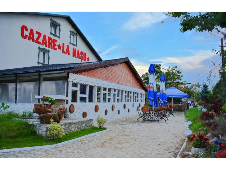 Pensiunea Pensiunea La Nasu, Poieni Iasi - imaginea