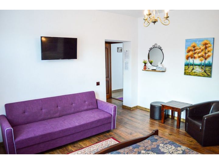 Pensiunea Casa Rica, Calimanesti-Caciulata - imaginea
