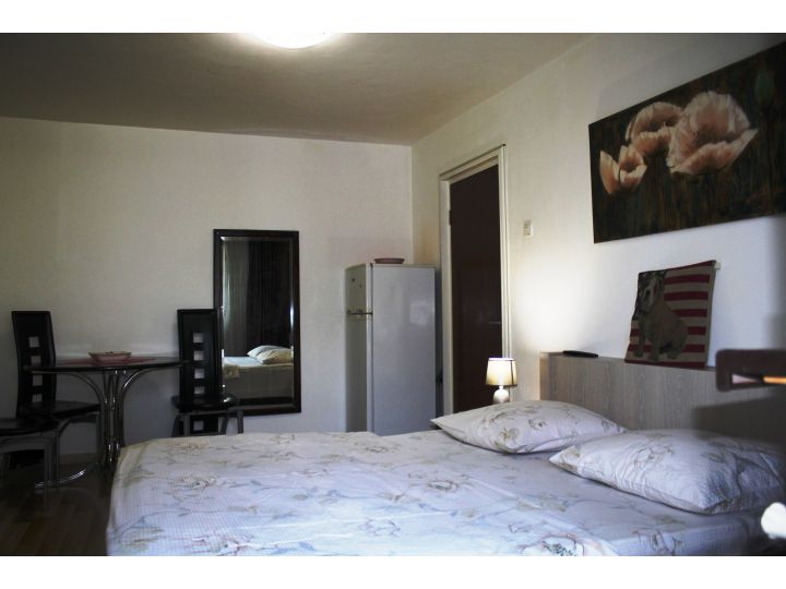 Apartamentul Floreasca Premium Apartament, Bucuresti - imaginea 