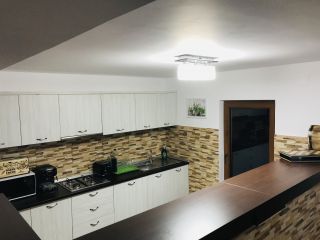 Pensiunea Puiu, Vadu Motilor - 4