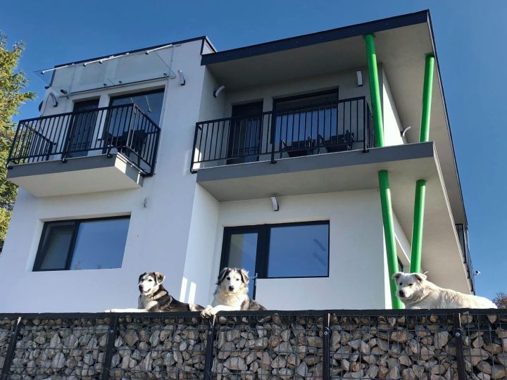 Vila Valea Prahovei View ***, Comarnic - imaginea 