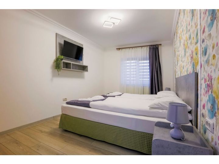 Apartamentul Vaias Aparts, Targu Neamt - imaginea 