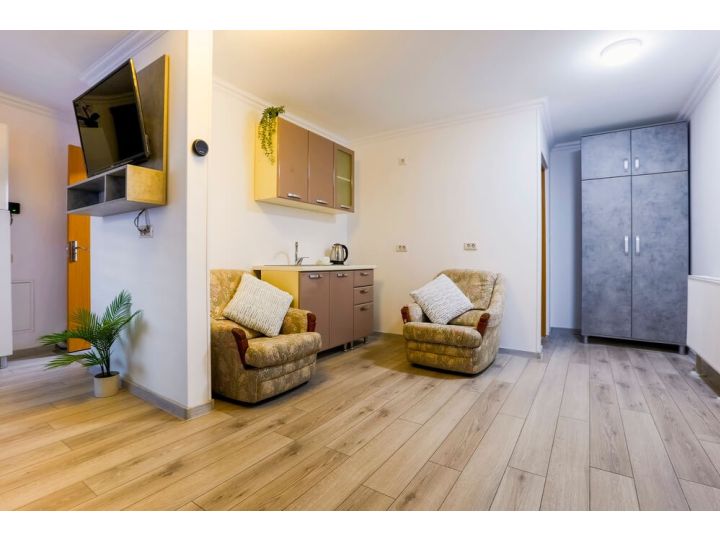Apartamentul Vaias Aparts, Targu Neamt - imaginea 