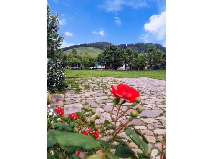Pensiunea Cristiana-Bucovina, Manastirea Humorului - imaginea 