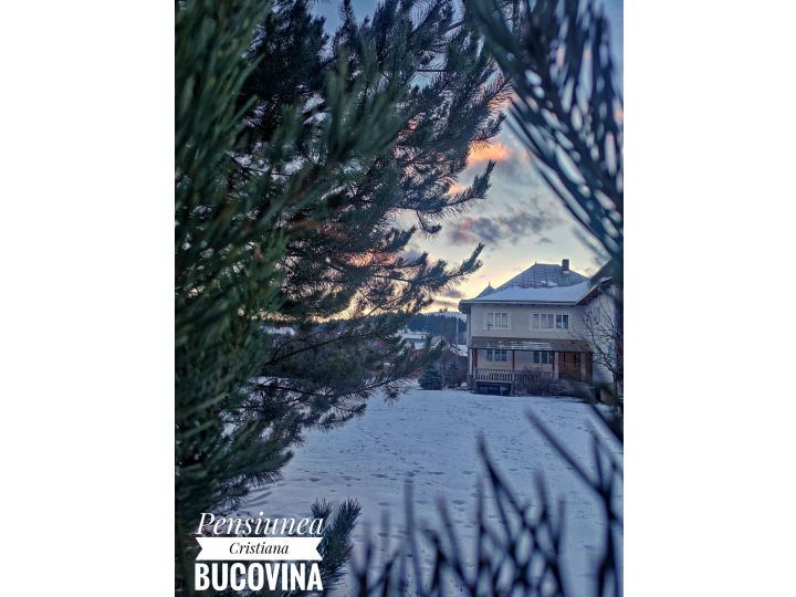 Pensiunea Cristiana-Bucovina, Manastirea Humorului - imaginea 
