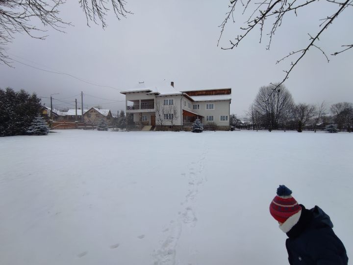 Pensiunea Cristiana-Bucovina, Manastirea Humorului - imaginea 
