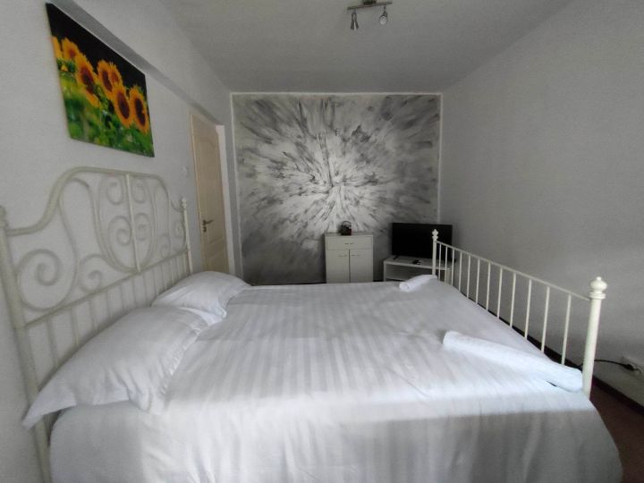 Apartamentele Andi, Baile Herculane - imaginea 