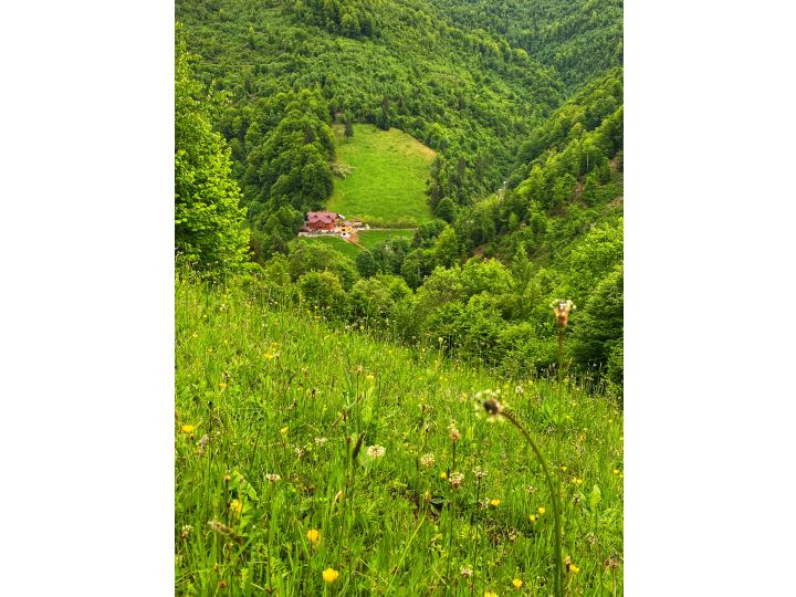 Camere de inchiriat Valea Rasului, Rucar - imaginea 