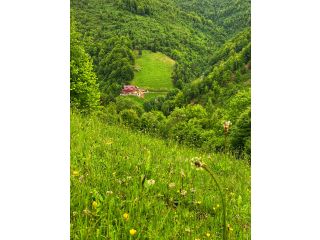 Camere de inchiriat Valea Rasului, Rucar - 2