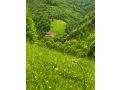 Camere de inchiriat Valea Rasului, Rucar - thumb 2