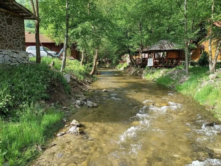 Cabana Complex Turcana, Sugag - imaginea 