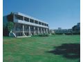 Hotel Santa Marina, Insula Creta - thumb 5