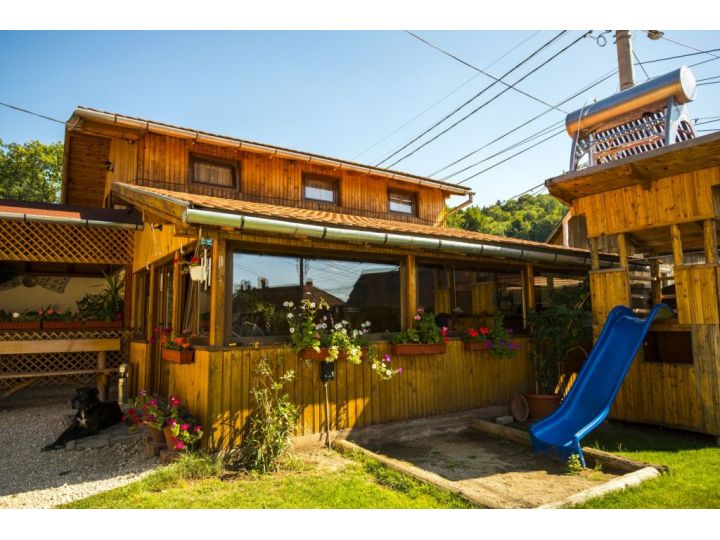 Pensiunea Casa Rasnoveana, Rasnov - imaginea 