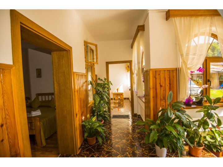 Pensiunea Casa Rasnoveana, Rasnov - imaginea 