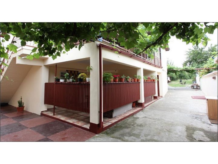 Pensiunea Casa Selena, Costinesti - imaginea