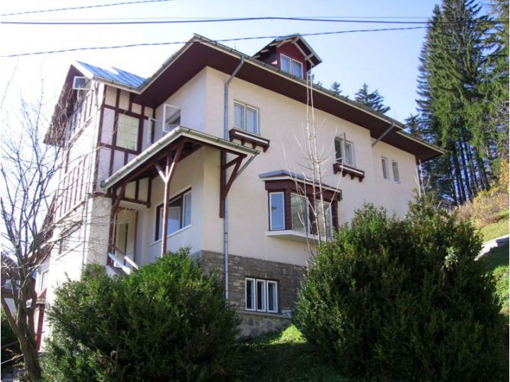 Vila Gabriel, Sinaia - imaginea 