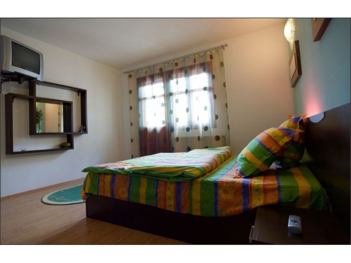 Vila Izvor, Sinaia - imaginea 