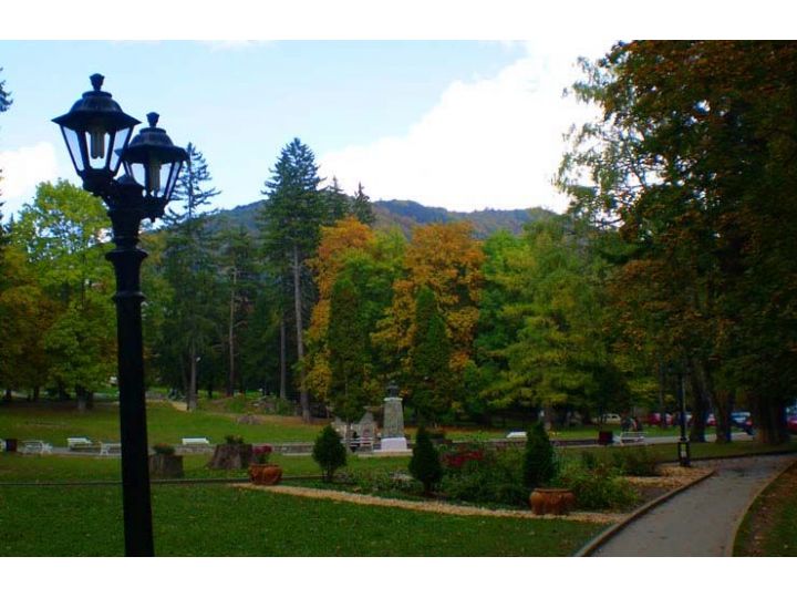 Hotel Rina Cerbul, Sinaia - imaginea 