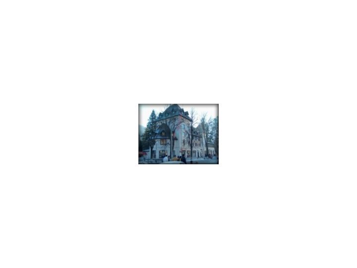 Hotel Rina Cerbul, Sinaia - imaginea 