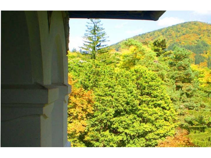 Hotel Rina Cerbul, Sinaia - imaginea 
