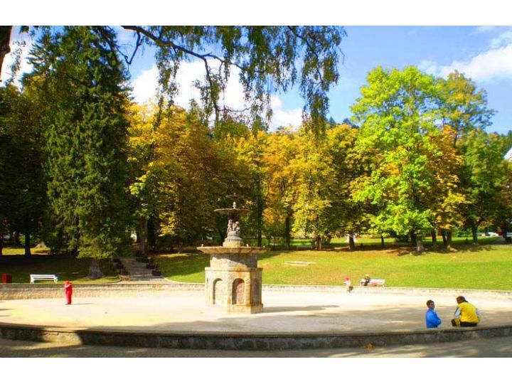 Hotel Rina Cerbul, Sinaia - imaginea 