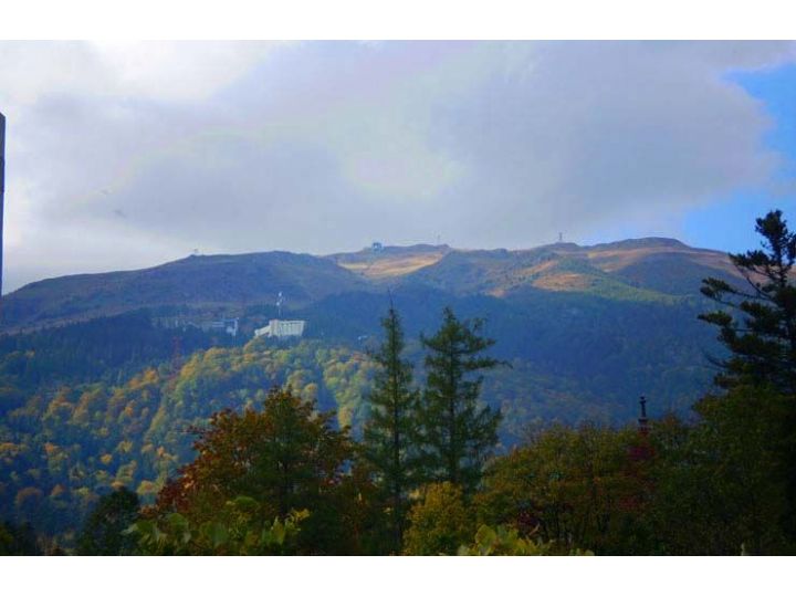 Hotel Rina Cerbul, Sinaia - imaginea 