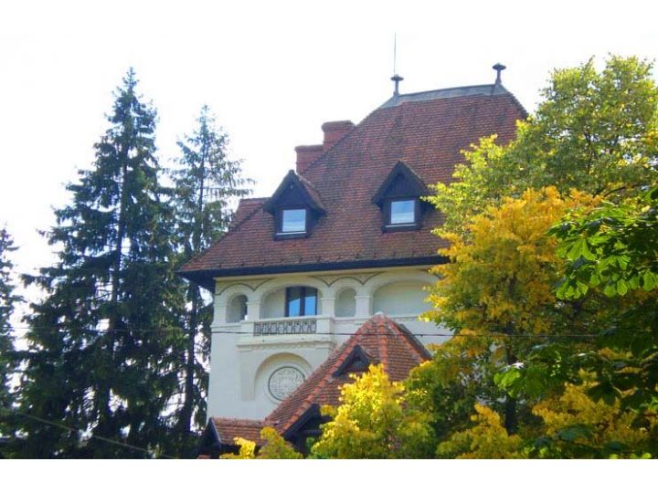 Hotel Rina Cerbul, Sinaia - imaginea 