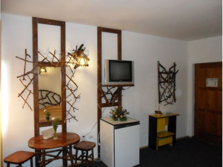 Hotel Bulevard, Sinaia - imaginea 