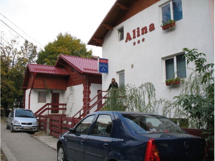 Vila Alina, Sinaia - imaginea 