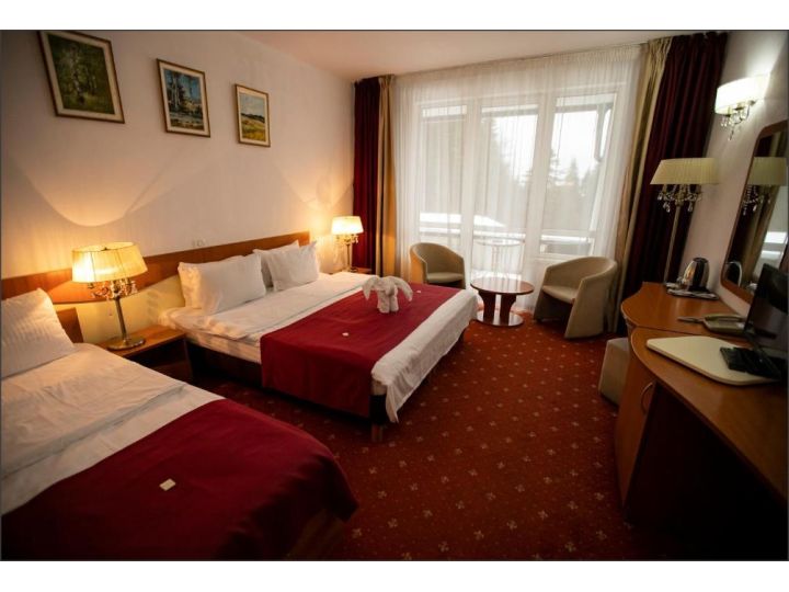 Hotel Atrium Hotel Panoramic, Predeal - imaginea 