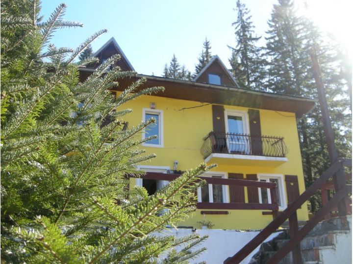Pensiunea Casa Bunicii, Predeal - imaginea 
