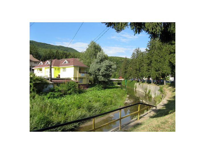 Vila Ana, Baile Olanesti - imaginea 