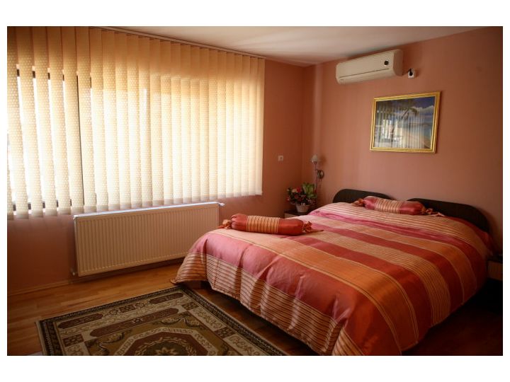 Pensiunea Ideal, Baia Mare - imaginea 
