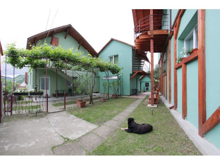 Pensiunea Verde, Baia Sprie - imaginea 