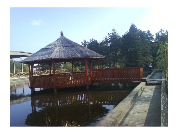 Pensiunea Rustic, Baia Sprie - imaginea 