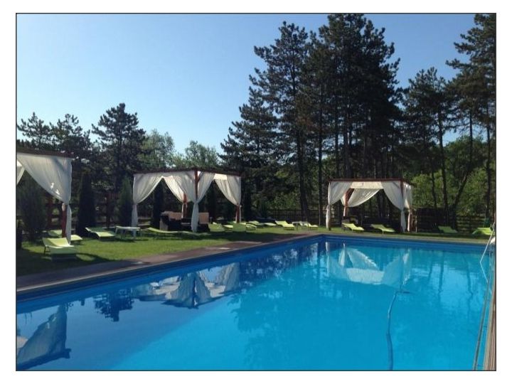 Pensiunea Rustic, Baia Sprie - imaginea 