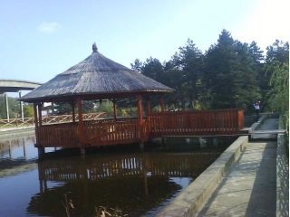 Pensiunea Rustic, Baia Sprie - 5