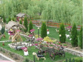 Pensiunea Rustic, Baia Sprie - 3