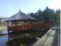 Pensiunea Rustic, Baia Sprie - thumb 5