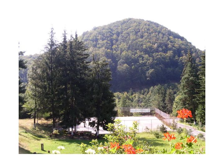 Pensiunea Limpedea, Baia Sprie - imaginea 