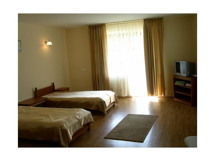 Pensiunea Limpedea, Baia Sprie - imaginea 