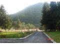 Pensiunea Limpedea, Baia Sprie - thumb 19