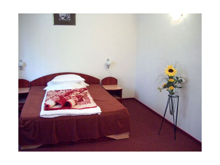 Complex turistic Hotelier Turist Suior, Baia Sprie - imaginea 