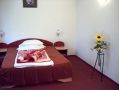 Complex turistic Hotelier Turist Suior, Baia Sprie - thumb 11